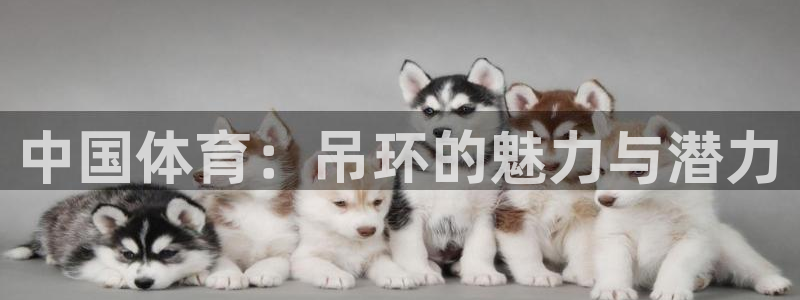 意昂5Kgame体育免费注册入口