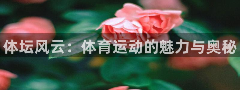 意昂5Kgame4代理
