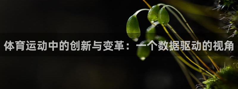 意昂5Kgame体育1招商