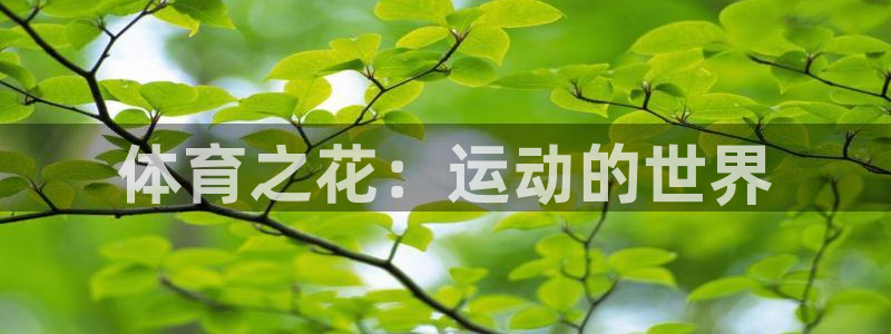 意昂5Kgame平台总代理
