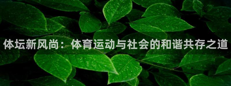 意昂5Kgame2平台注册