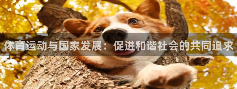 意昂5Kgame体育注册代理