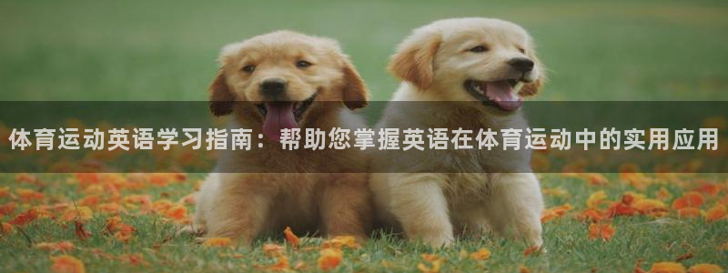 意昂5Kgame凯捷平台