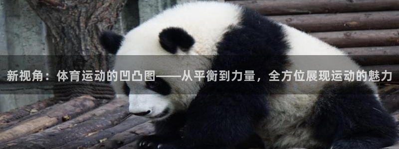 意昂5Kgame2官网