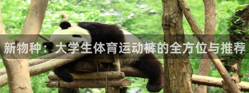 意昂5Kgame集团官网